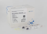 25pcs 혈청 아밀로이드 A SAA 염증 테스트 키트 카세트 500ul 버퍼