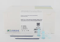 CE 8분 진단 키트 콜로이드성 금 항체 IFP-3000